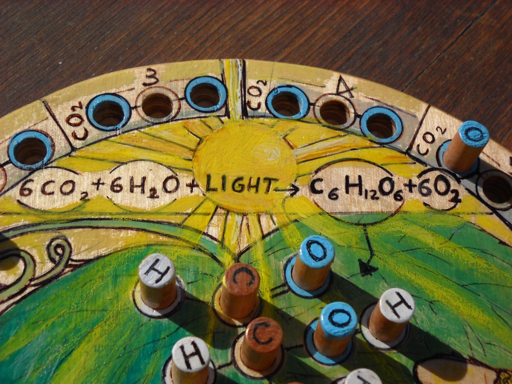 wood table game inspired by photosynthesis